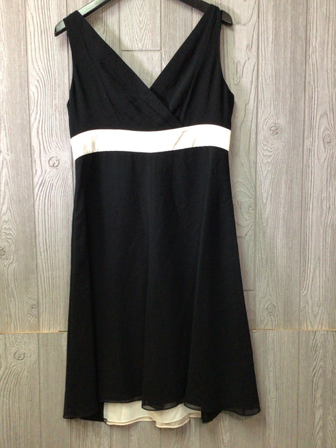 Ann Taylor Silk Dress Size 10